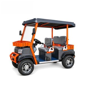 Electric Golf Cart GG-DP004