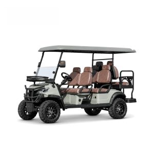 Electric Golf Cart GG-DP017