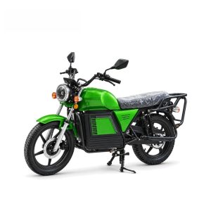 electric motorcycle mt cp001